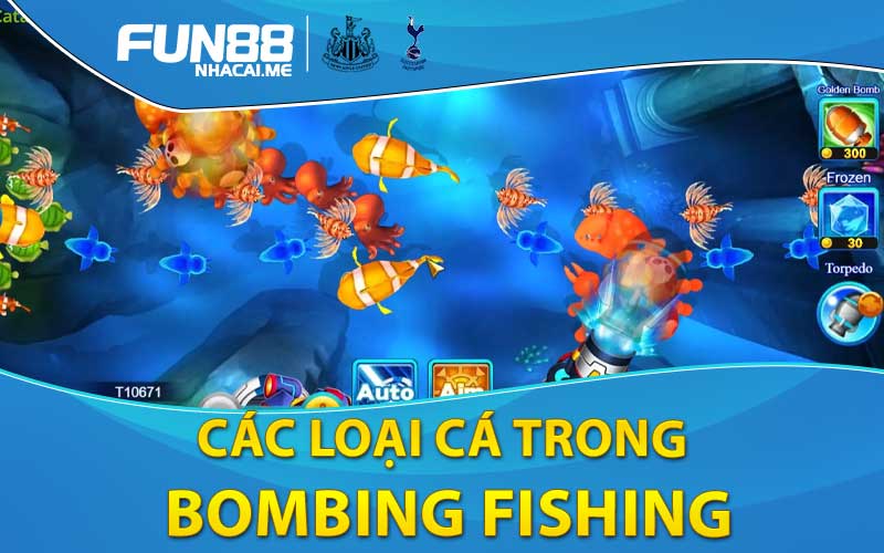 các loại cá trong Bombing Fishing