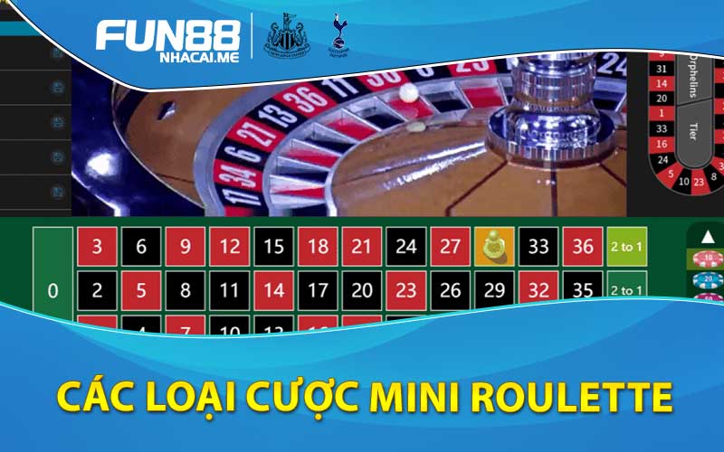 các loại cược Mini roulette